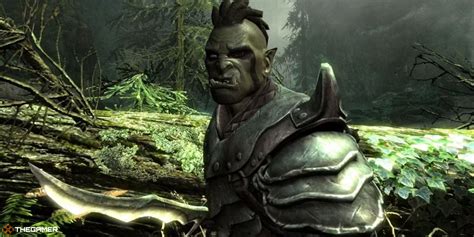 armatura elfica lv 1 skyrim|Skyrim: 12 Great Pieces Of Gear You Can Obtain At Level 1.